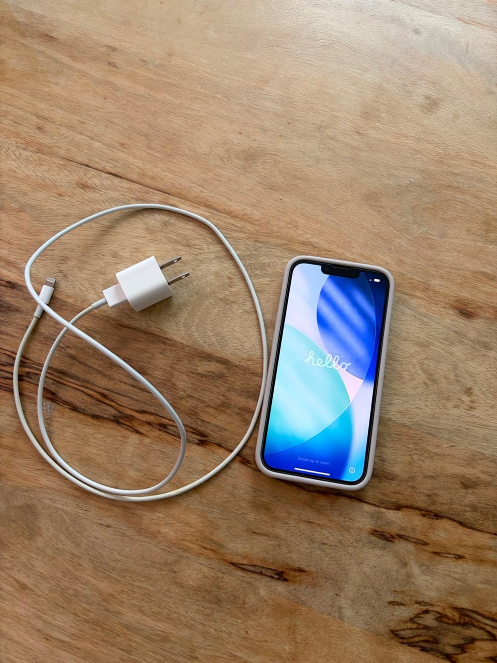 Apple iPhone 13 with Case and Charger